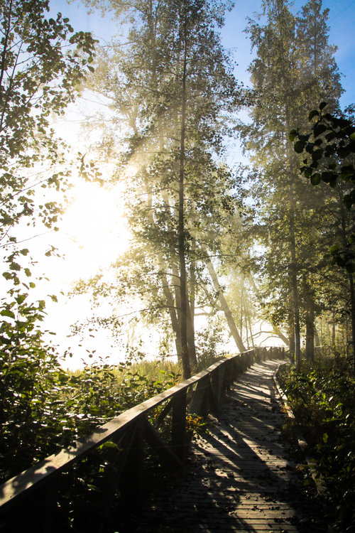 Immonpolku Mäntyharjussa