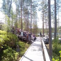 Luontokirkko Luontokirkko