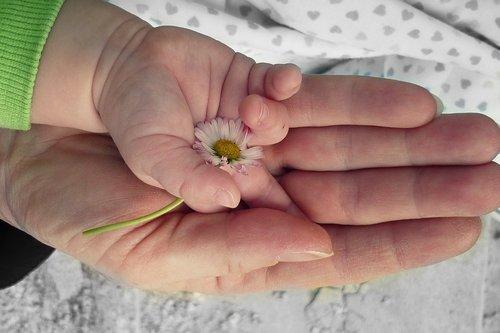 Vauvan käsi aikuisen kämmenen päällä ja vauvan kädessä kukka